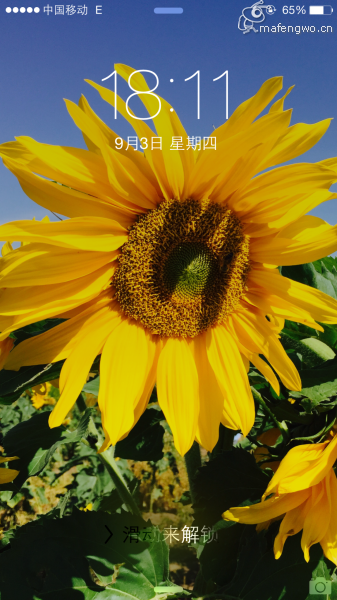 ԭ·ͼƬ
